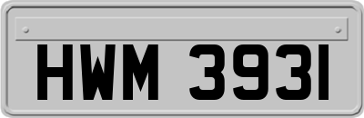 HWM3931