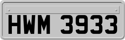 HWM3933