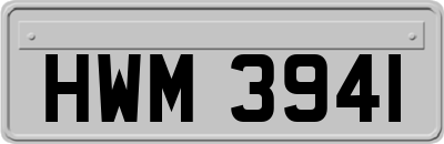 HWM3941