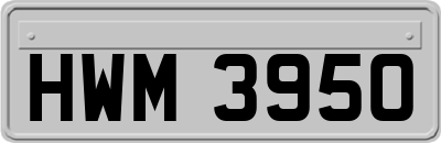 HWM3950