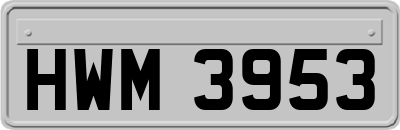 HWM3953