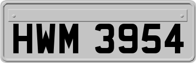 HWM3954