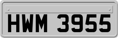 HWM3955