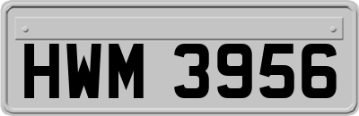 HWM3956