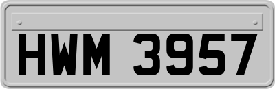 HWM3957