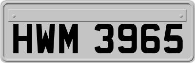 HWM3965