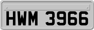 HWM3966