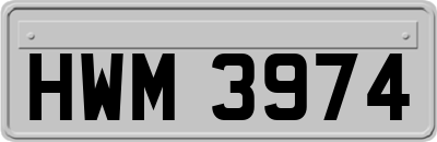 HWM3974
