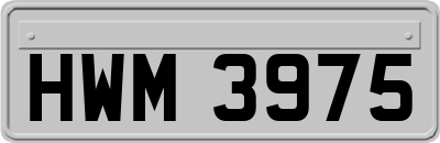 HWM3975