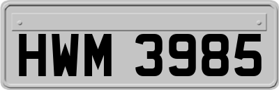 HWM3985