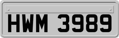 HWM3989