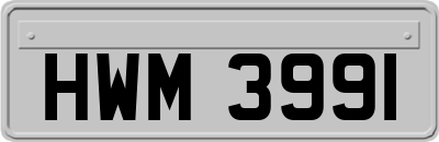 HWM3991