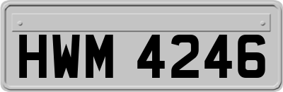 HWM4246