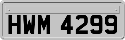 HWM4299