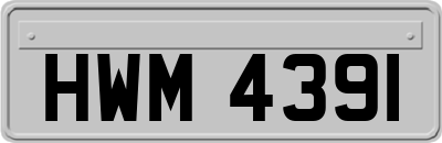 HWM4391