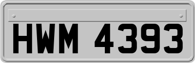 HWM4393