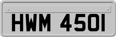 HWM4501