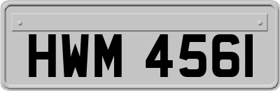HWM4561
