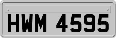 HWM4595