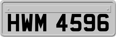 HWM4596