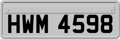 HWM4598