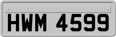 HWM4599