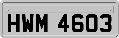 HWM4603