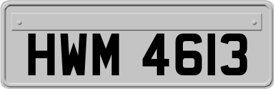 HWM4613