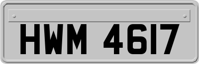 HWM4617