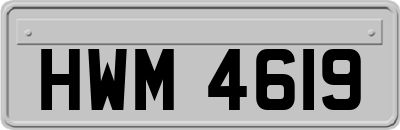 HWM4619