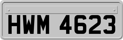 HWM4623