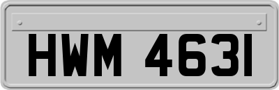 HWM4631