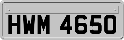 HWM4650
