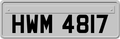 HWM4817