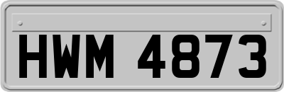 HWM4873