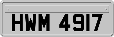HWM4917