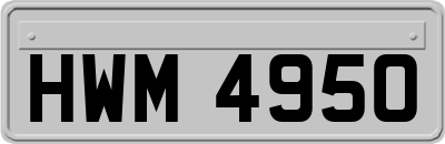 HWM4950