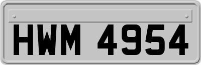 HWM4954