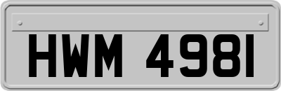 HWM4981