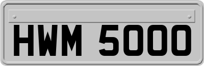 HWM5000