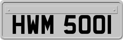 HWM5001
