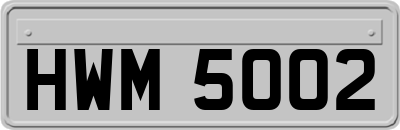 HWM5002