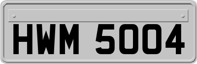 HWM5004