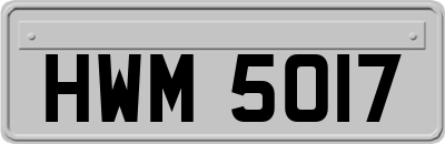 HWM5017
