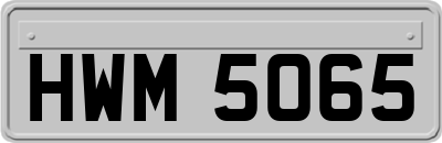 HWM5065