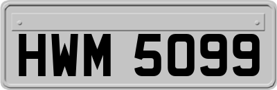 HWM5099
