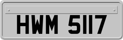 HWM5117