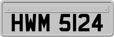 HWM5124