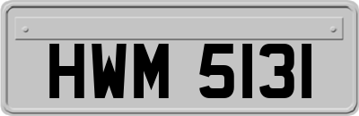 HWM5131