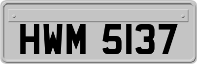 HWM5137